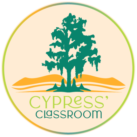 Logo of Cypress' Classroom, Cypress tree with open book at base, encircled by a rainbow
