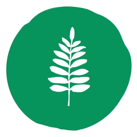 Green circle with white leaf with 14 leaflets along the side across from one another and one leaflet from the very top